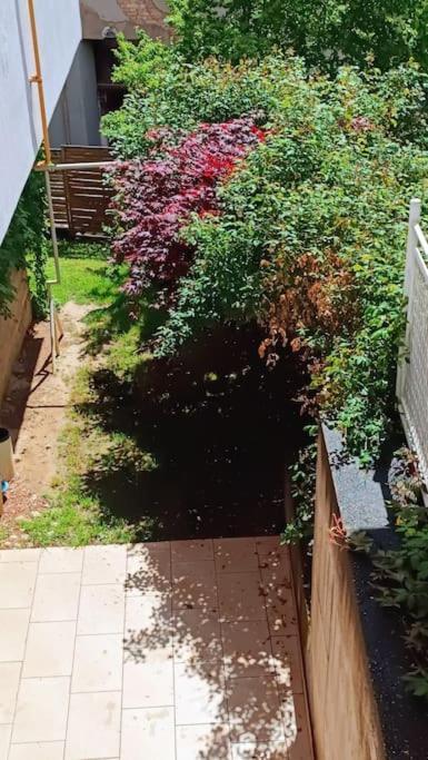 Spacious Condo Near Bascarsija - Free Parking Saraievo Exterior foto