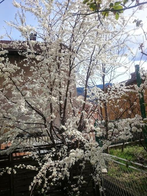Spacious Condo Near Bascarsija - Free Parking Saraievo Exterior foto